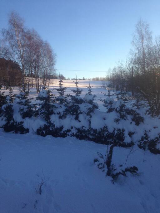 Lucany Holiday home