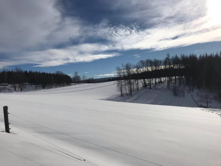 Lucany Vakantiehuis Lučany nad Nisou